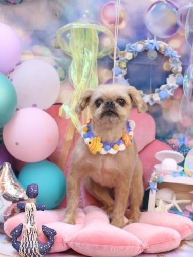 20240804ムーくん